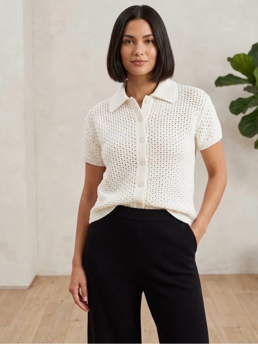 Haven Well Within ivory open stitch short sleeve sweater. Size S.